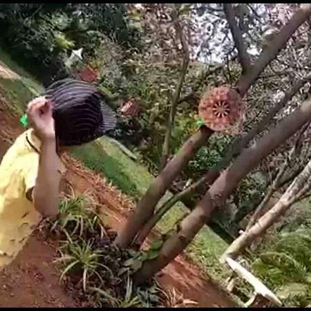 Lobville Homestay Karjat Kültér fotó
