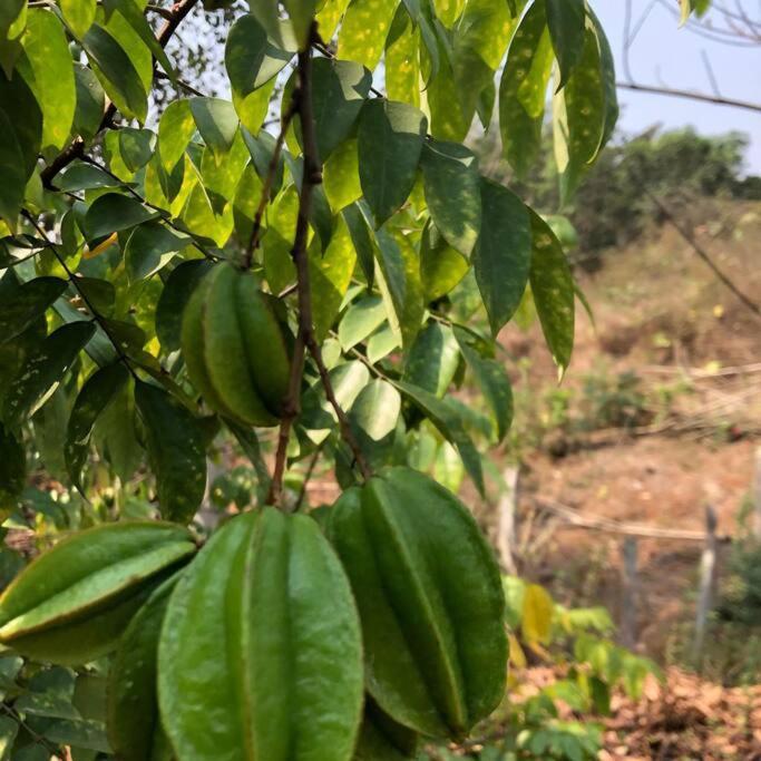 Lobville Homestay Karjat Kültér fotó